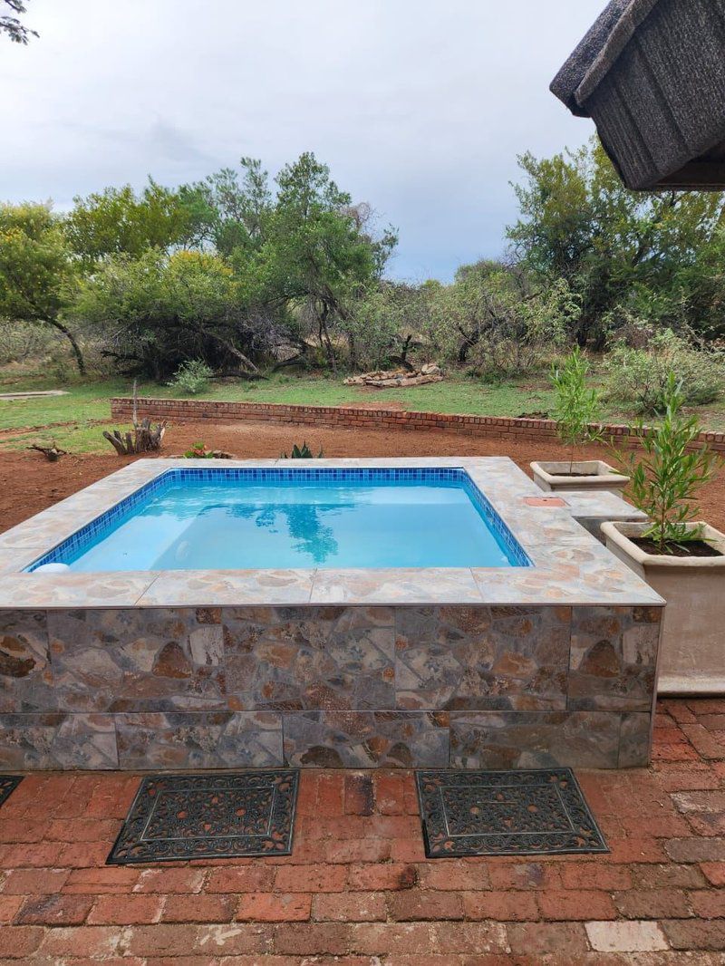 Noko Lodge Mabalingwe Mabalingwe Nature Reserve Bela Bela Warmbaths Limpopo Province South Africa Complementary Colors, Swimming Pool