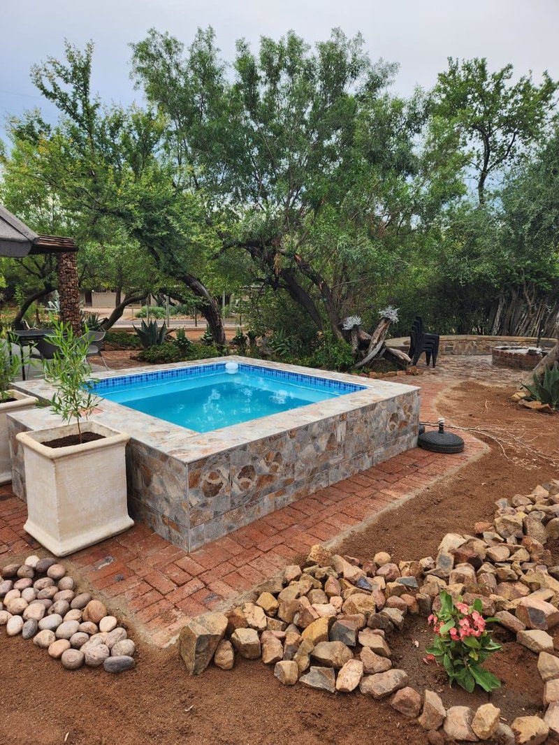 Noko Lodge Mabalingwe Mabalingwe Nature Reserve Bela Bela Warmbaths Limpopo Province South Africa Garden, Nature, Plant, Swimming Pool