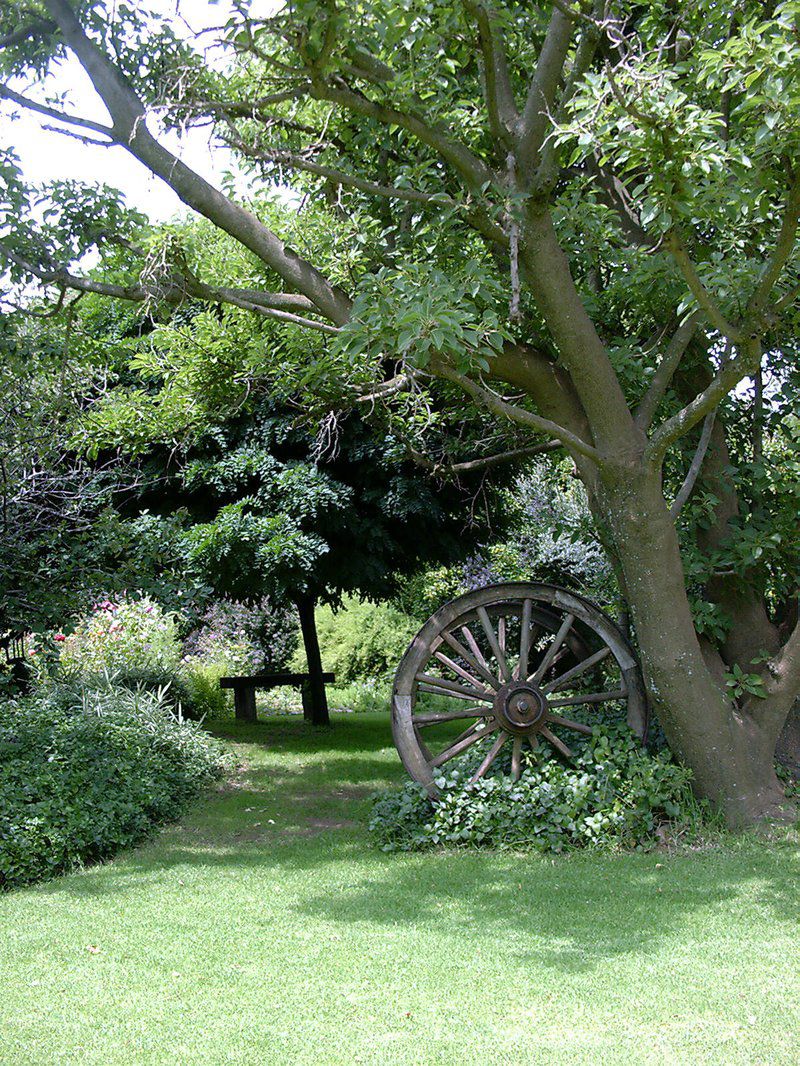 Nonnashoek Country Bandb Bethlehem Free State South Africa Plant, Nature, Tree, Wood, Garden