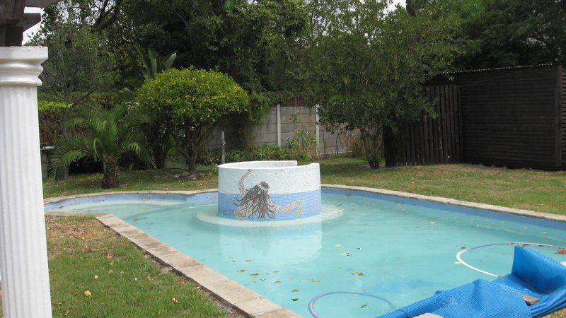Nooitgedacht Guesthouse Rondebosch Cape Town Western Cape South Africa Complementary Colors, Palm Tree, Plant, Nature, Wood, Swimming Pool