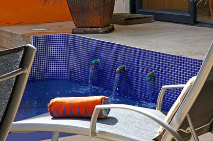 Nooks Pied A Terre Franschhoek Western Cape South Africa Swimming Pool