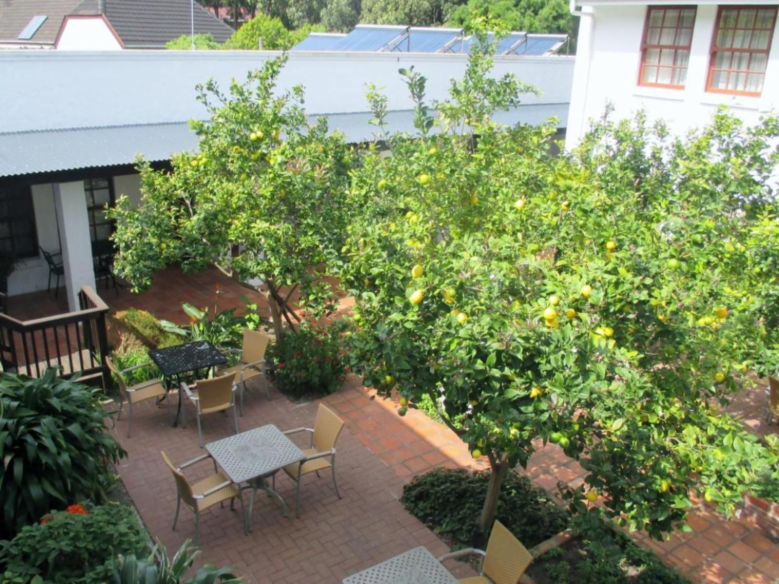 Noordhoek Village Hotel Noordhoek Cape Town Western Cape South Africa House, Building, Architecture, Plant, Nature, Garden