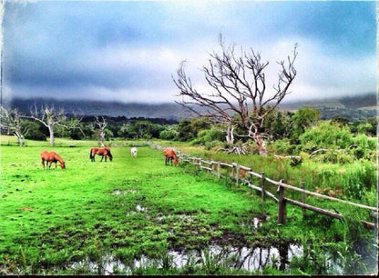 Noordhoek Lakes House The Lakes Cape Town Western Cape South Africa Complementary Colors, Field, Nature, Agriculture