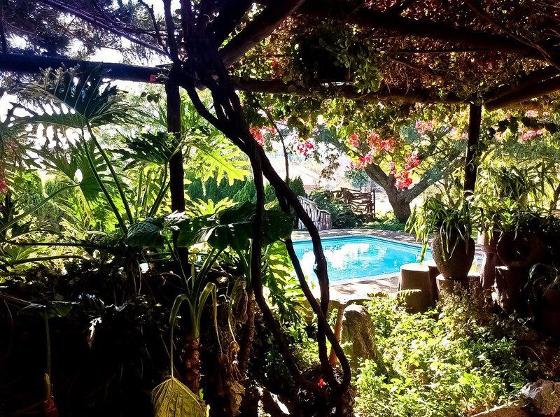 Norfolk Pine Guest House Centurion Gauteng South Africa Palm Tree, Plant, Nature, Wood, Garden, Swimming Pool