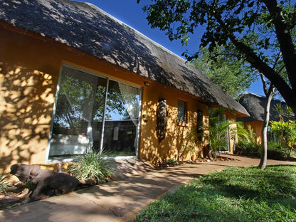 Normann Safari Bush Lodge Phalaborwa Limpopo Province South Africa House, Building, Architecture