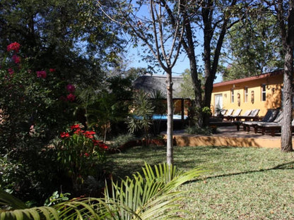 Normann Safari Bush Lodge Phalaborwa Limpopo Province South Africa House, Building, Architecture, Palm Tree, Plant, Nature, Wood