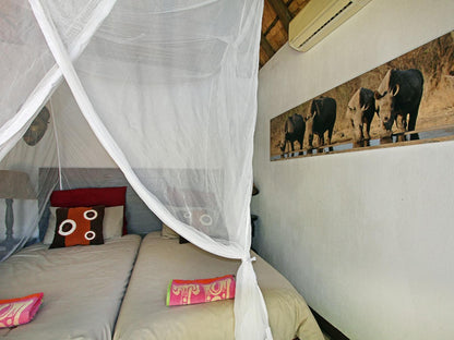 Rhino @ Normann Safari Bush Lodge