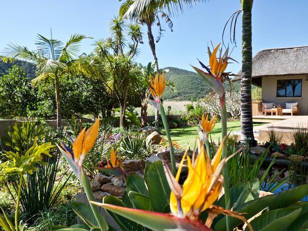 Normarie S Guesthouse Wilderness 2 Rack Kleinkrantz Wilderness Western Cape South Africa Complementary Colors, Palm Tree, Plant, Nature, Wood, Garden