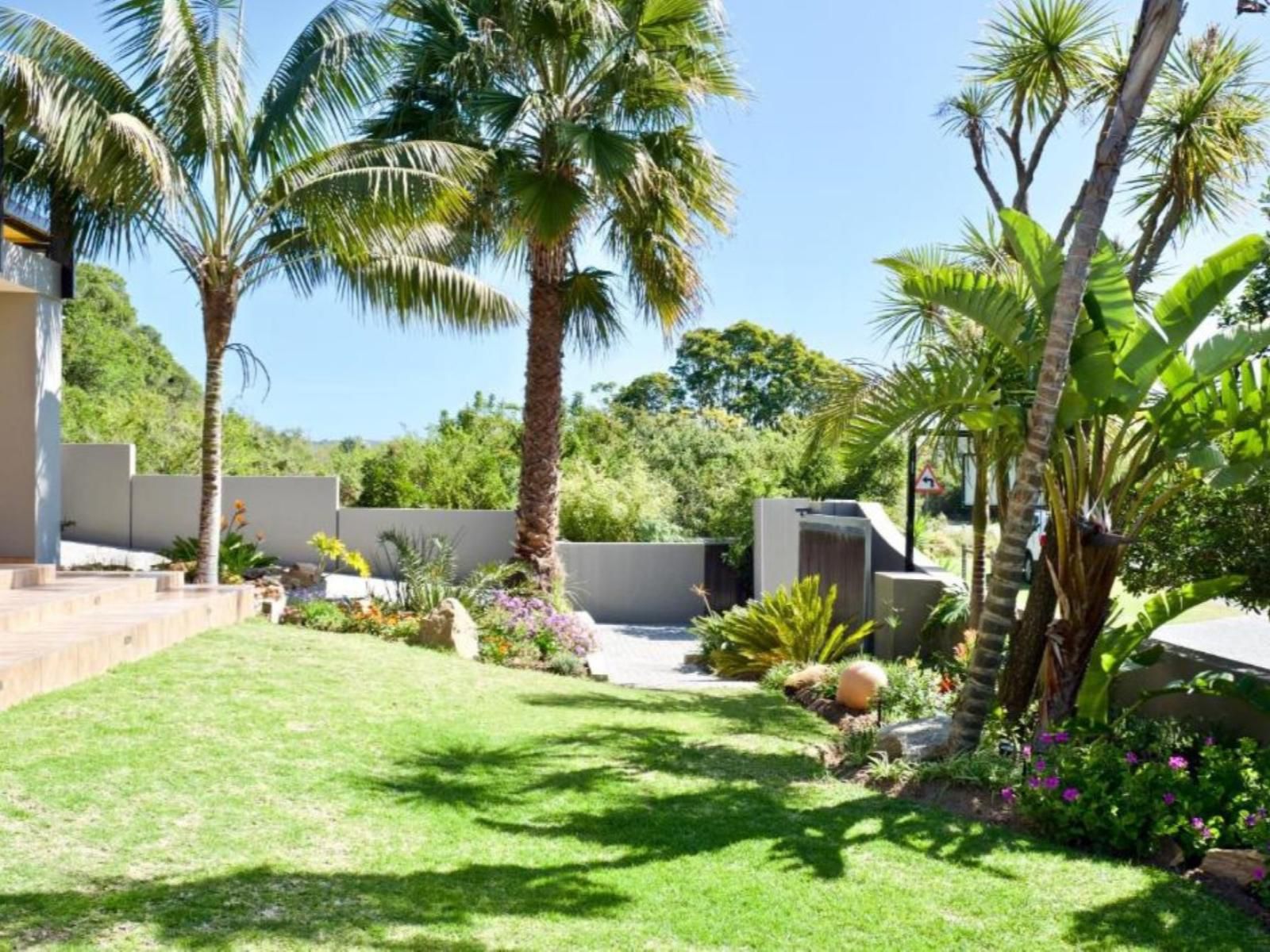 Normarie'S Guesthouse, Palm Tree, Plant, Nature, Wood, Garden