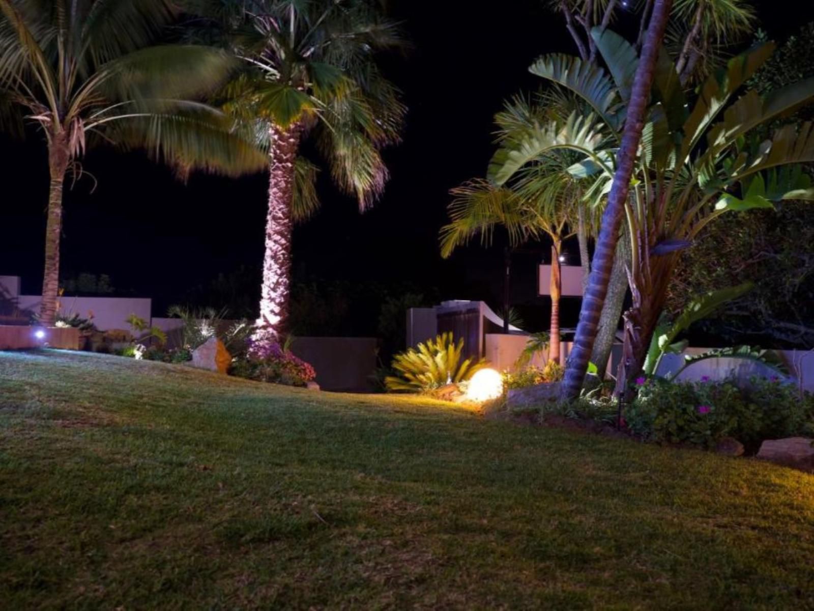 Normarie'S Guesthouse, Palm Tree, Plant, Nature, Wood, Garden