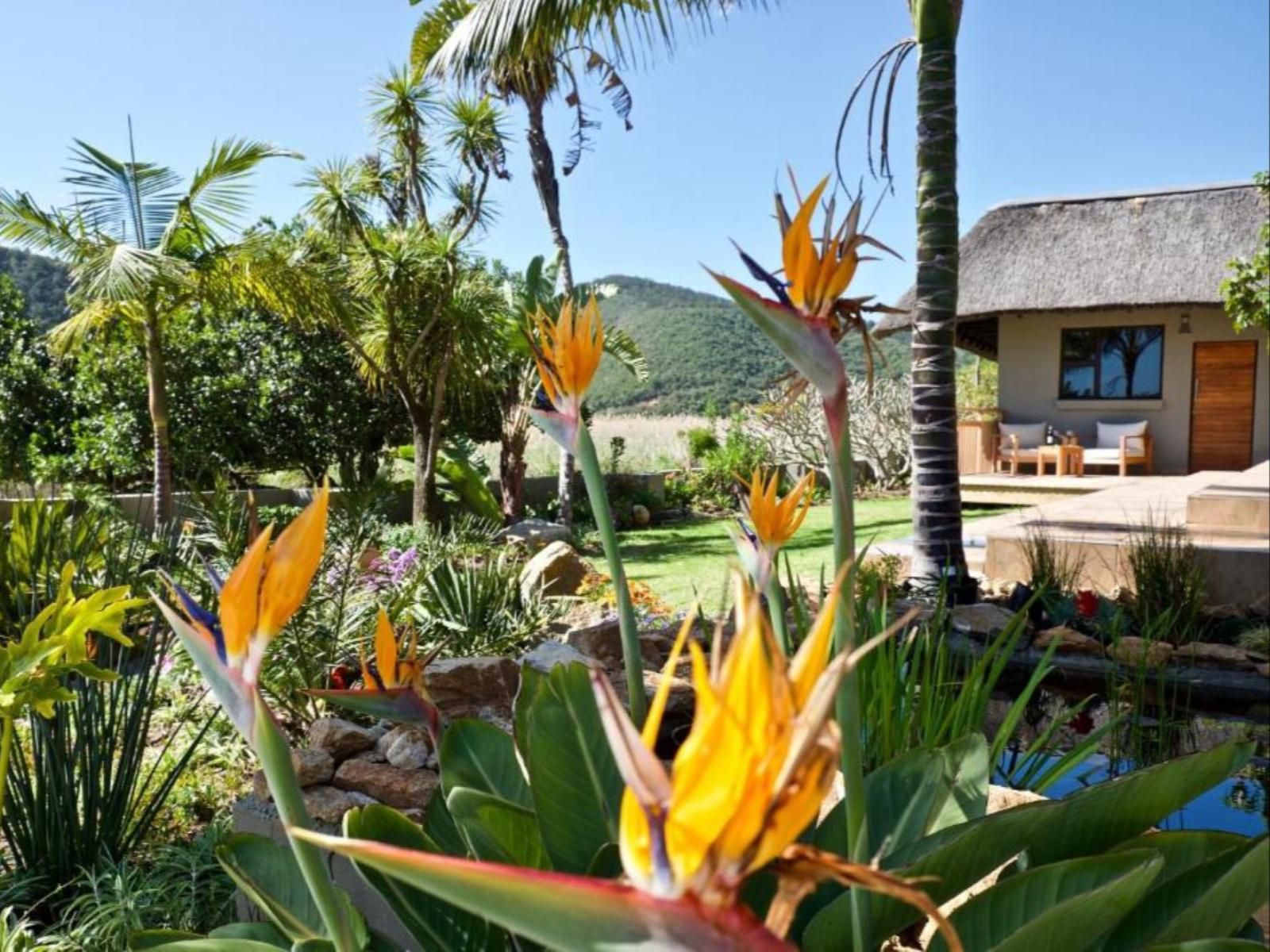 Normarie'S Guesthouse, Palm Tree, Plant, Nature, Wood, Garden