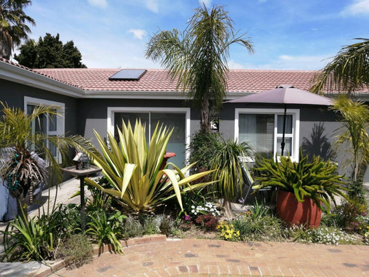 Northern Vine Guesthouse Protea Heights Cape Town Western Cape South Africa Complementary Colors, House, Building, Architecture, Palm Tree, Plant, Nature, Wood, Garden