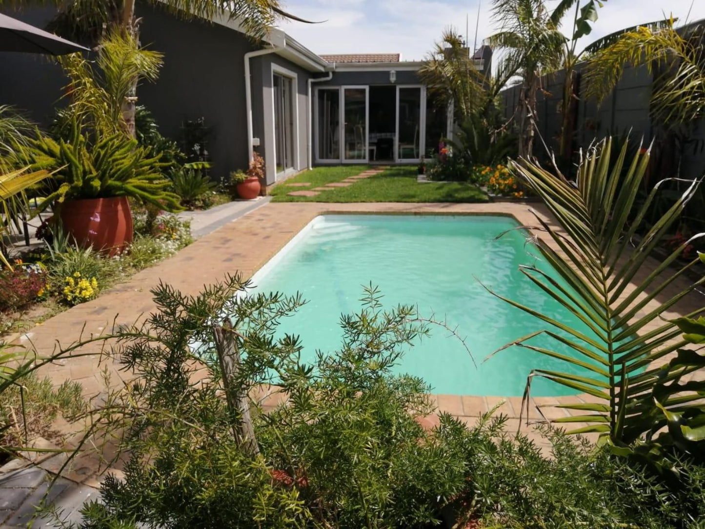 Northern Vine Guesthouse Protea Heights Cape Town Western Cape South Africa House, Building, Architecture, Palm Tree, Plant, Nature, Wood, Garden, Swimming Pool
