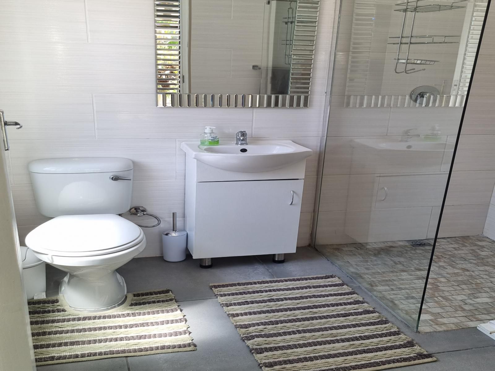 Northern Vine Guesthouse Protea Heights Cape Town Western Cape South Africa Unsaturated, Bathroom