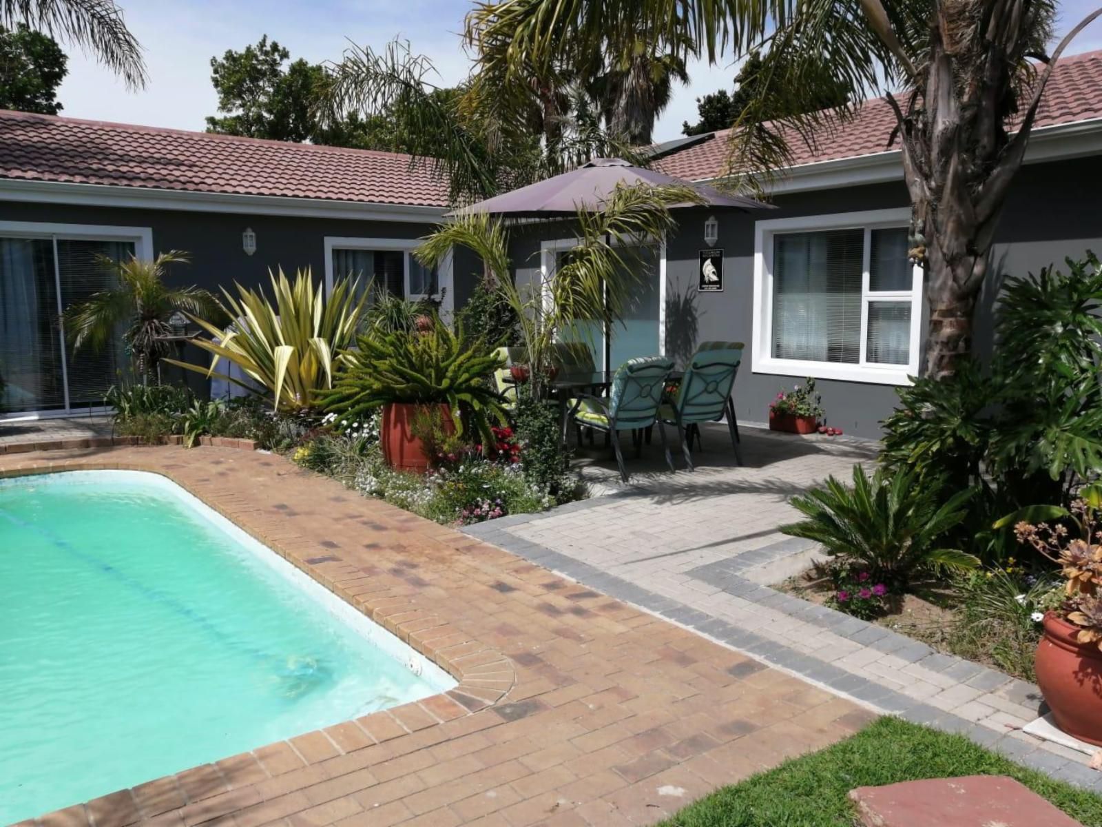 Northern Vine Guesthouse Protea Heights Cape Town Western Cape South Africa House, Building, Architecture, Palm Tree, Plant, Nature, Wood, Garden, Swimming Pool