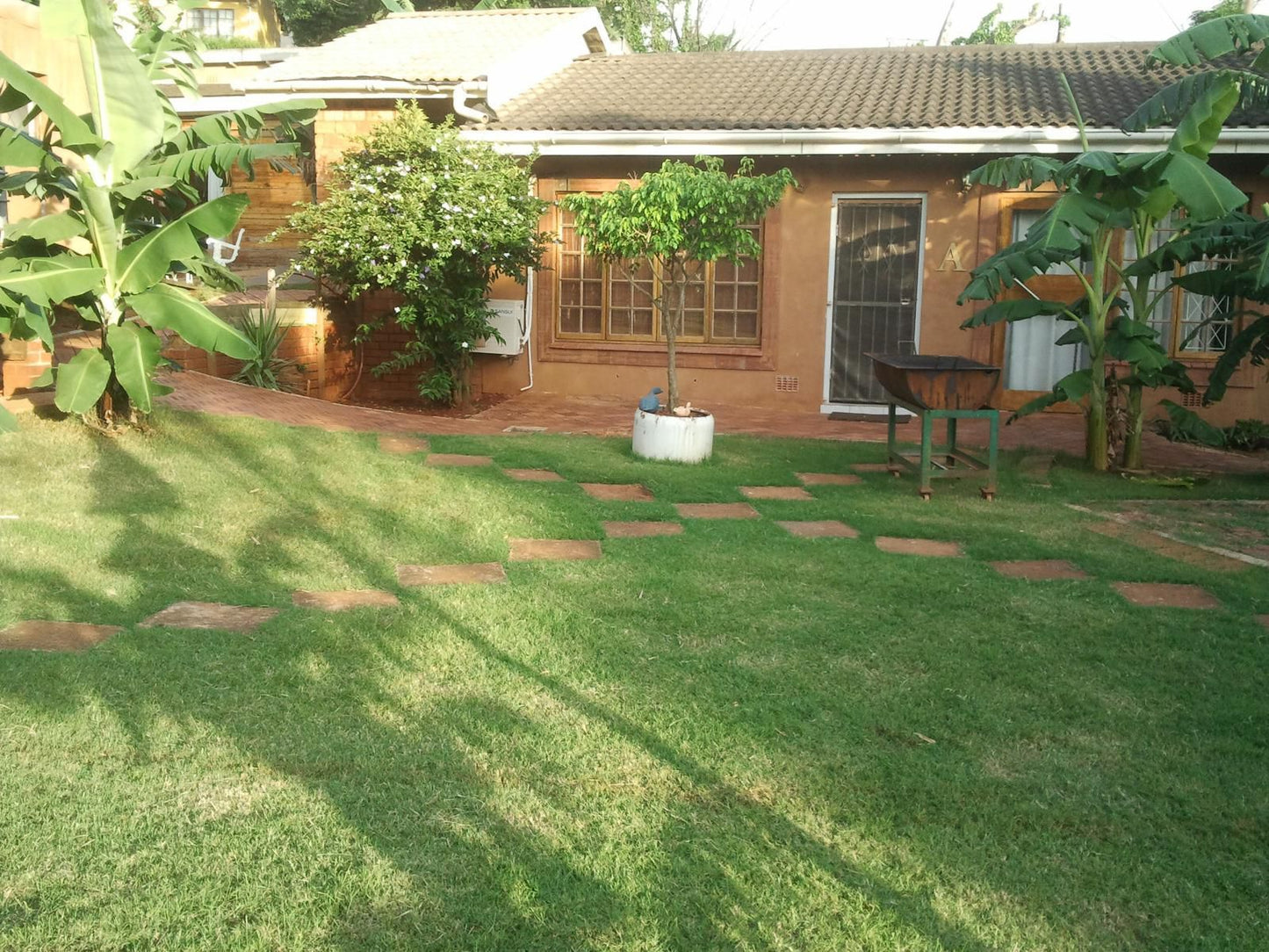 North Lodge Cottages Self Catering Park Hill Durban Kwazulu Natal South Africa Palm Tree, Plant, Nature, Wood, Garden