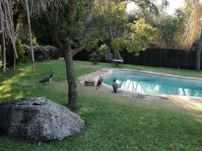 Northwich Game Ranch, Bird, Animal, Palm Tree, Plant, Nature, Wood, Garden, Swimming Pool