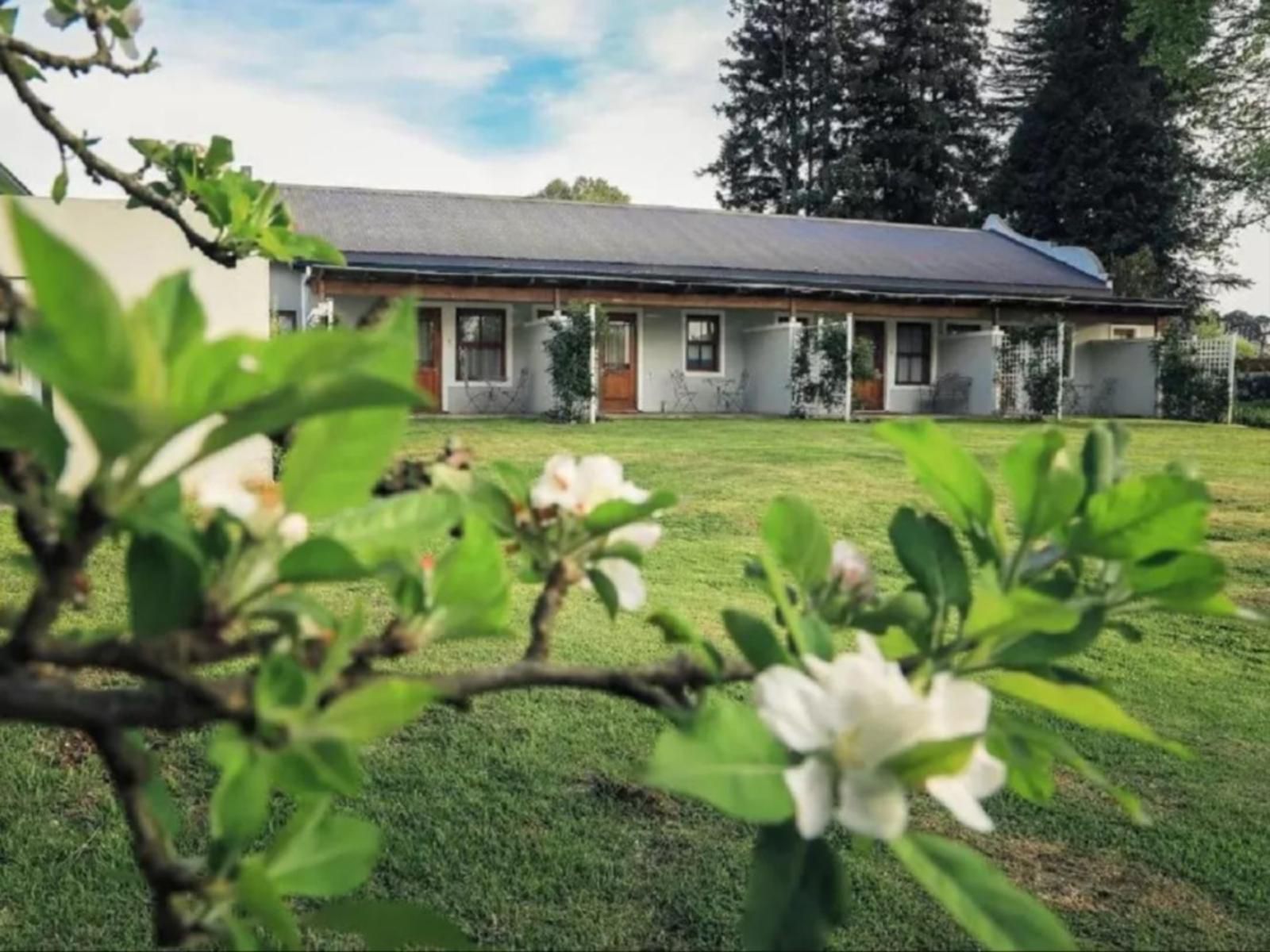 The Legendary Nottingham Road Hotel Nottingham Road Kwazulu Natal South Africa House, Building, Architecture, Plant, Nature, Window