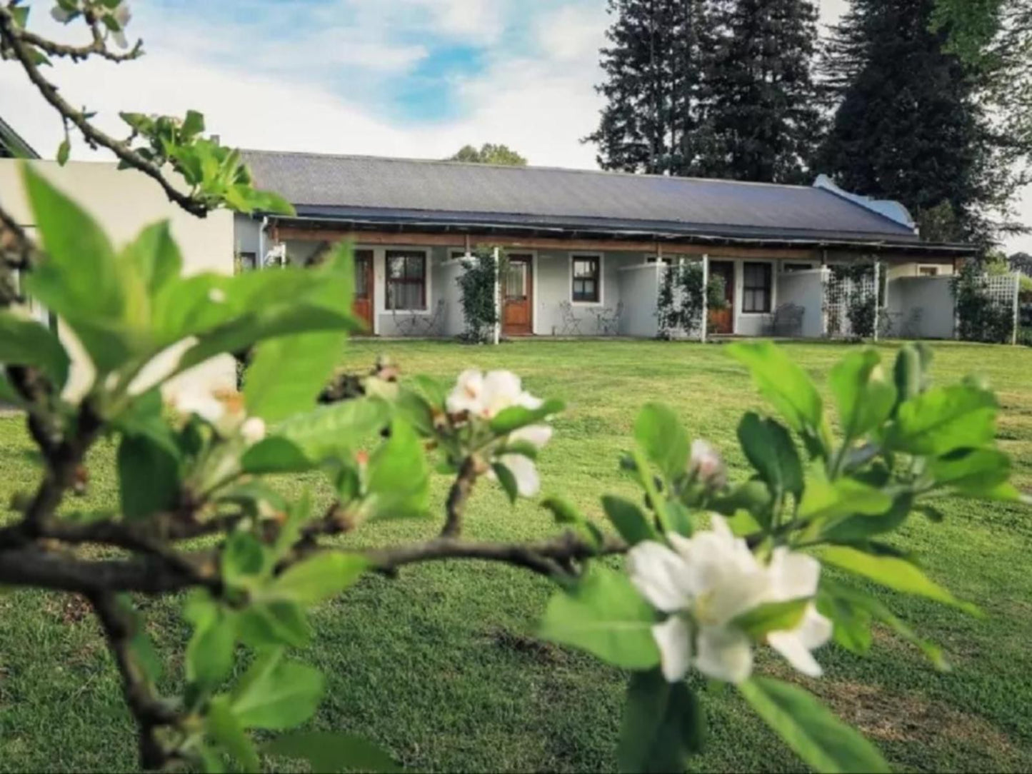 The Legendary Nottingham Road Hotel Nottingham Road Kwazulu Natal South Africa House, Building, Architecture, Plant, Nature, Window