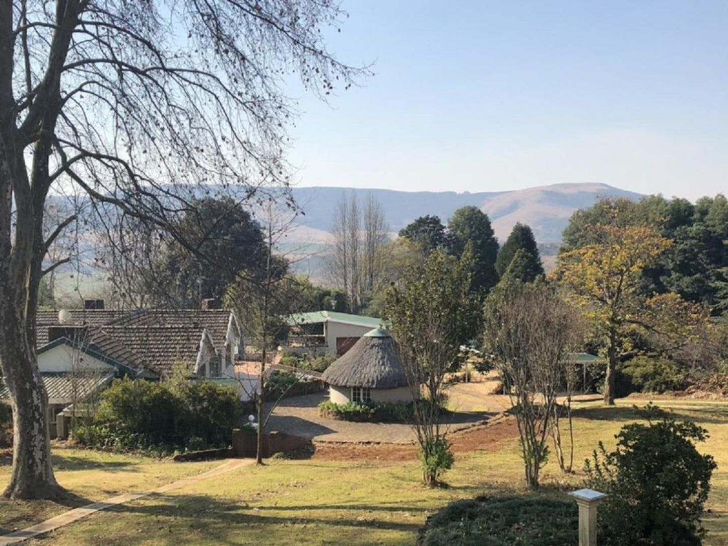 Notting Hill Lodge Balgowan Kwazulu Natal South Africa Tree, Plant, Nature, Wood