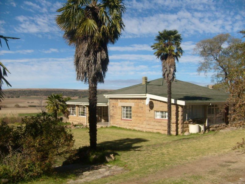 Nova Barletta Clocolan Free State South Africa Complementary Colors, House, Building, Architecture, Palm Tree, Plant, Nature, Wood