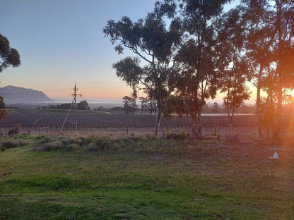 Now And Then Somerset West Western Cape South Africa Field, Nature, Agriculture, Tree, Plant, Wood, Lowland, Sunset, Sky