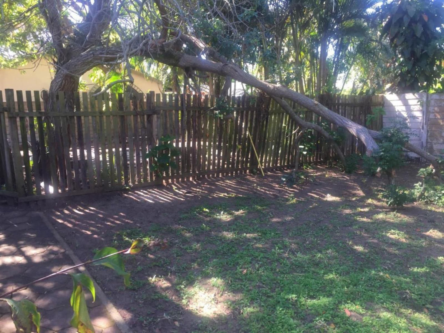 Nqabanqaba Bandb Meerensee Richards Bay Kwazulu Natal South Africa Gate, Architecture, Palm Tree, Plant, Nature, Wood, Tree, Garden