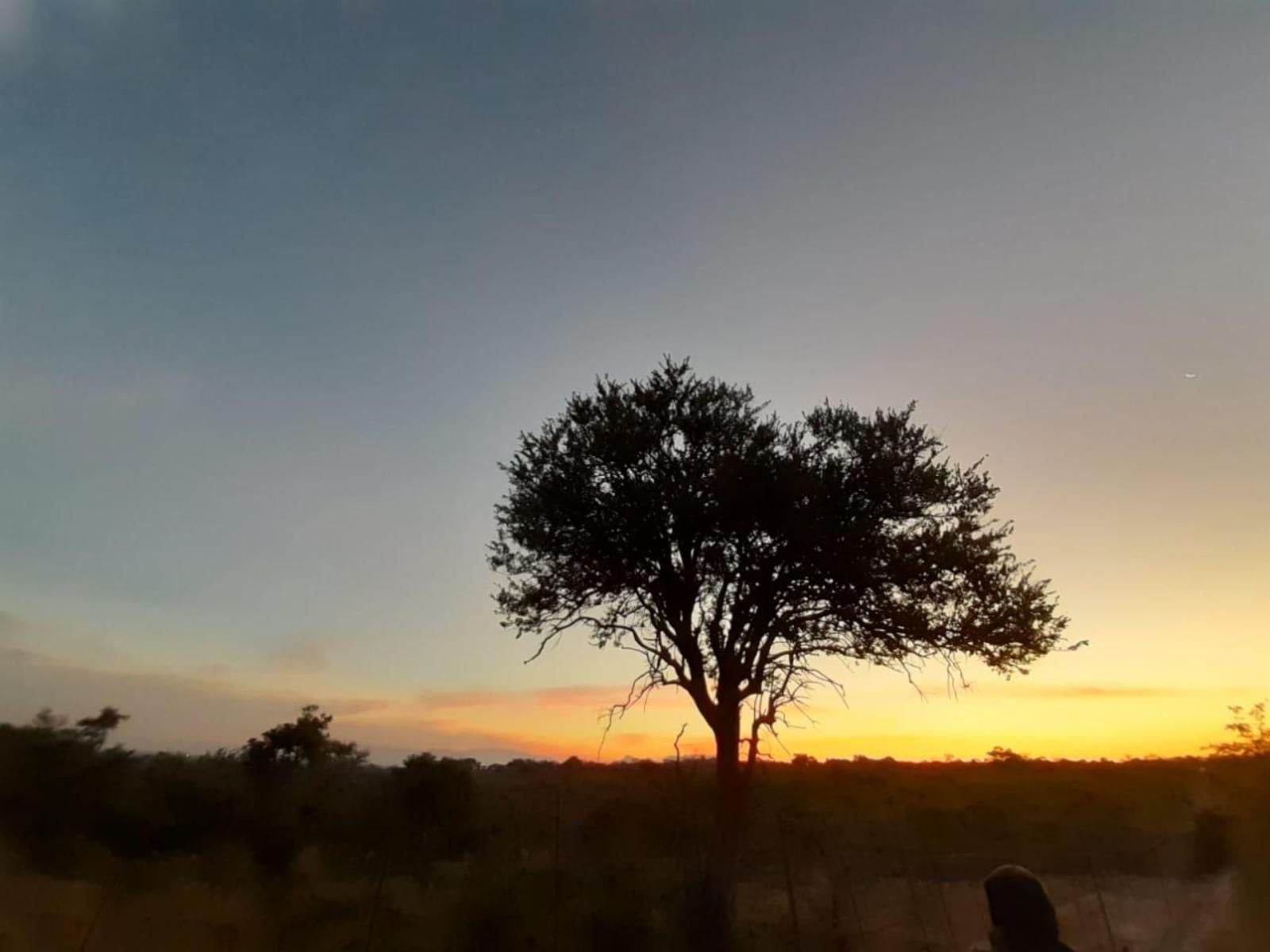 Nsele Safari Lodge Guernsey Nature Reserve Amanda Limpopo Province South Africa Lowland, Nature, Sunset, Sky