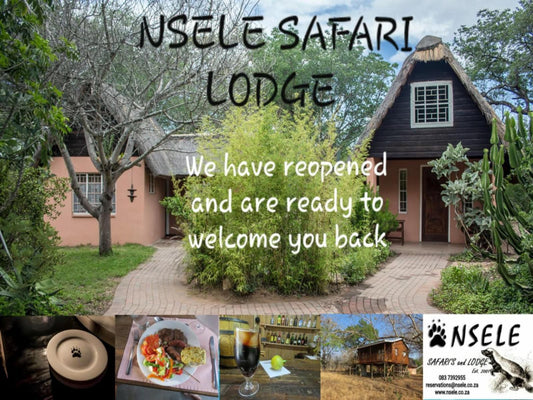 Nsele Safari Lodge Guernsey Nature Reserve Amanda Limpopo Province South Africa House, Building, Architecture