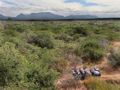 Nsele Safari Lodge Guernsey Nature Reserve Amanda Limpopo Province South Africa Nature