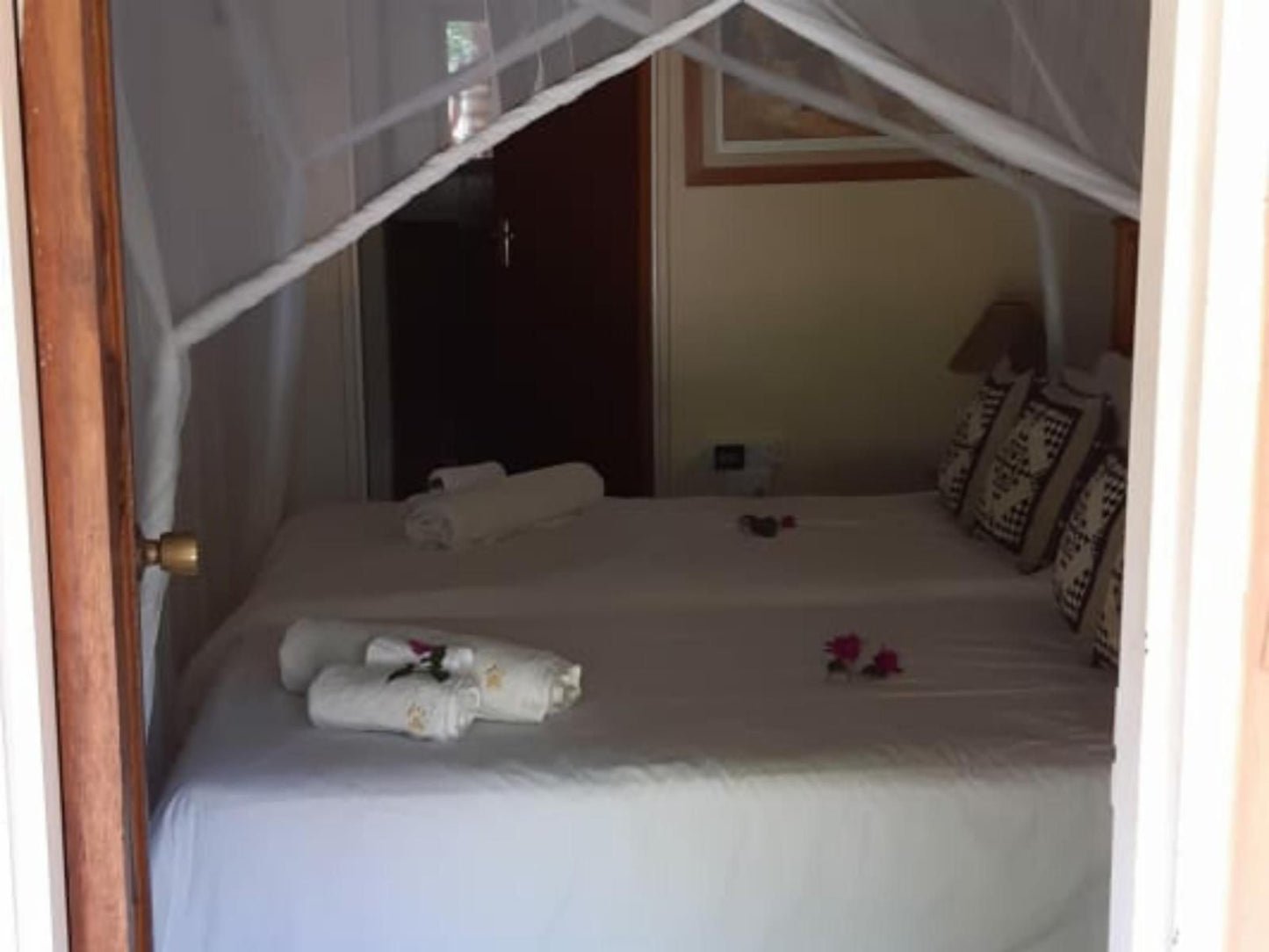 Nsele Safari Lodge Guernsey Nature Reserve Amanda Limpopo Province South Africa Bedroom