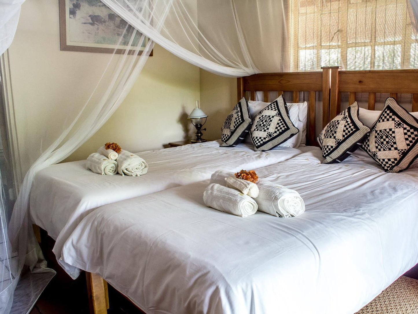 Nsele Safari Lodge Guernsey Nature Reserve Amanda Limpopo Province South Africa Bedroom