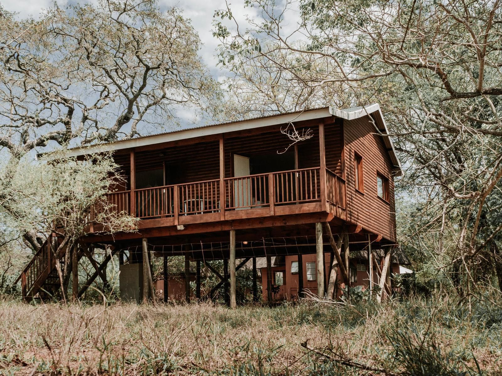 Nsele Safari Lodge Guernsey Nature Reserve Amanda Limpopo Province South Africa Building, Architecture, Cabin, House