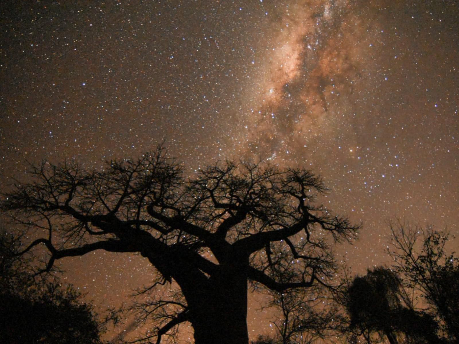 Nthakeni Bush And River Camp Makuya Nature Reserve Limpopo Province South Africa Astronomy, Nature, Night Sky