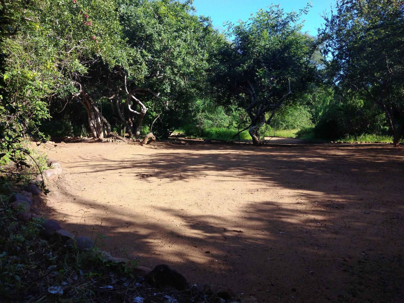 Nthakeni Bush And River Camp Makuya Nature Reserve Limpopo Province South Africa Forest, Nature, Plant, Tree, Wood