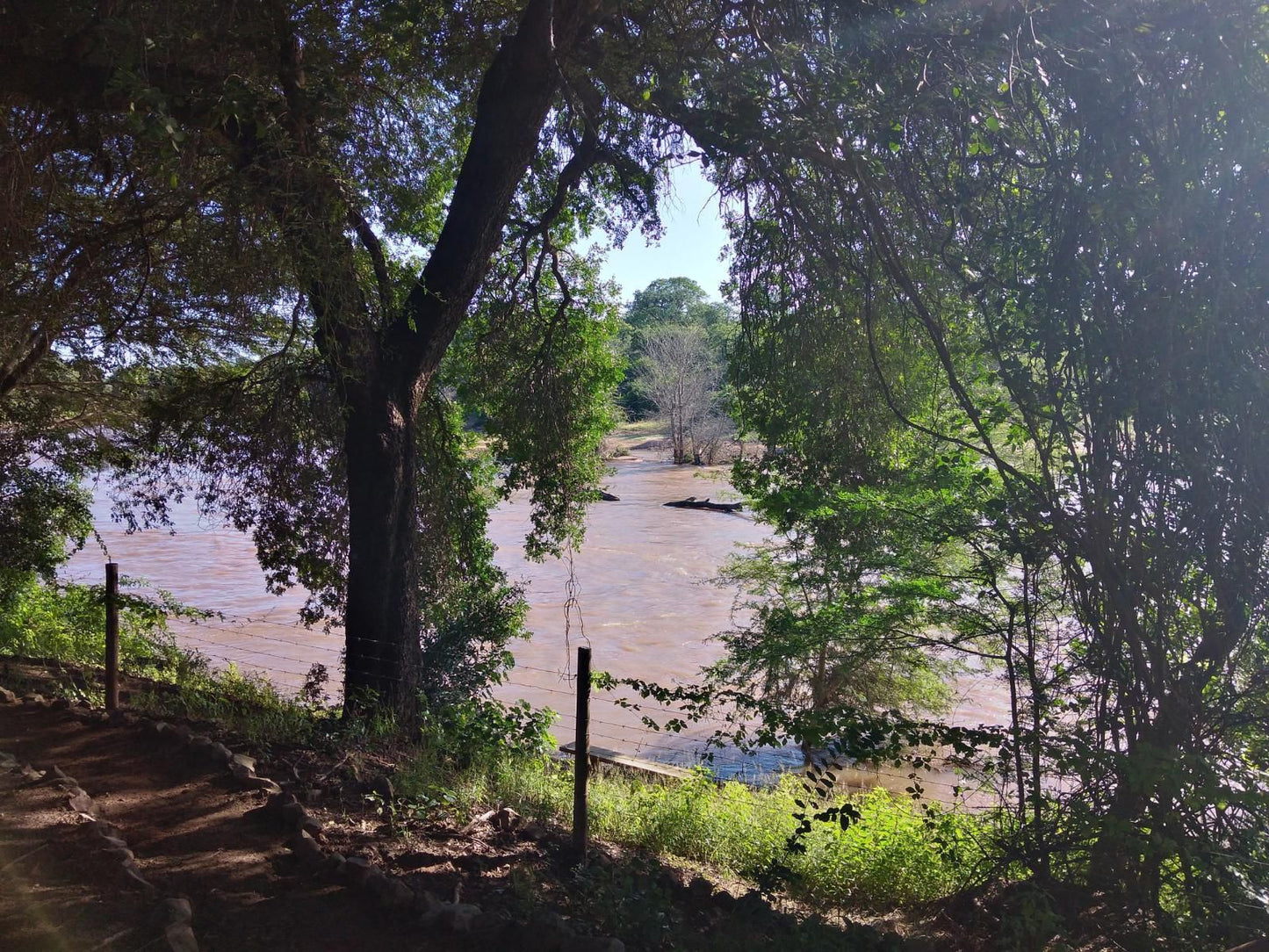 Nthakeni Bush And River Camp Makuya Nature Reserve Limpopo Province South Africa Boat, Vehicle, Canoe, Forest, Nature, Plant, Tree, Wood, River, Waters