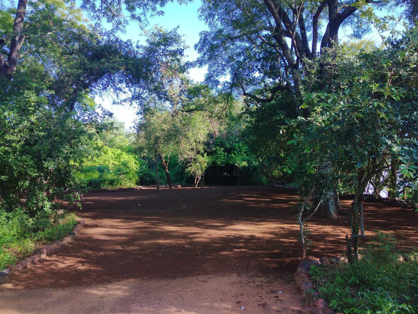 Nthakeni Bush And River Camp Makuya Nature Reserve Limpopo Province South Africa Forest, Nature, Plant, Tree, Wood