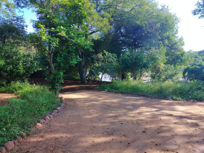 Nthakeni Bush And River Camp Makuya Nature Reserve Limpopo Province South Africa River, Nature, Waters, Tree, Plant, Wood