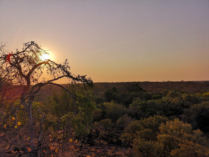 Nthakeni Bush And River Camp Makuya Nature Reserve Limpopo Province South Africa Nature