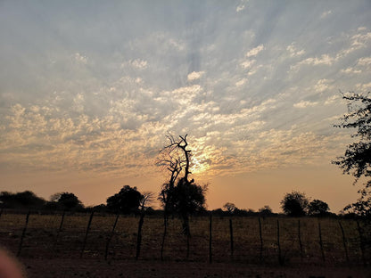 Nthakeni Bush And River Camp Makuya Nature Reserve Limpopo Province South Africa Sky, Nature, Lowland