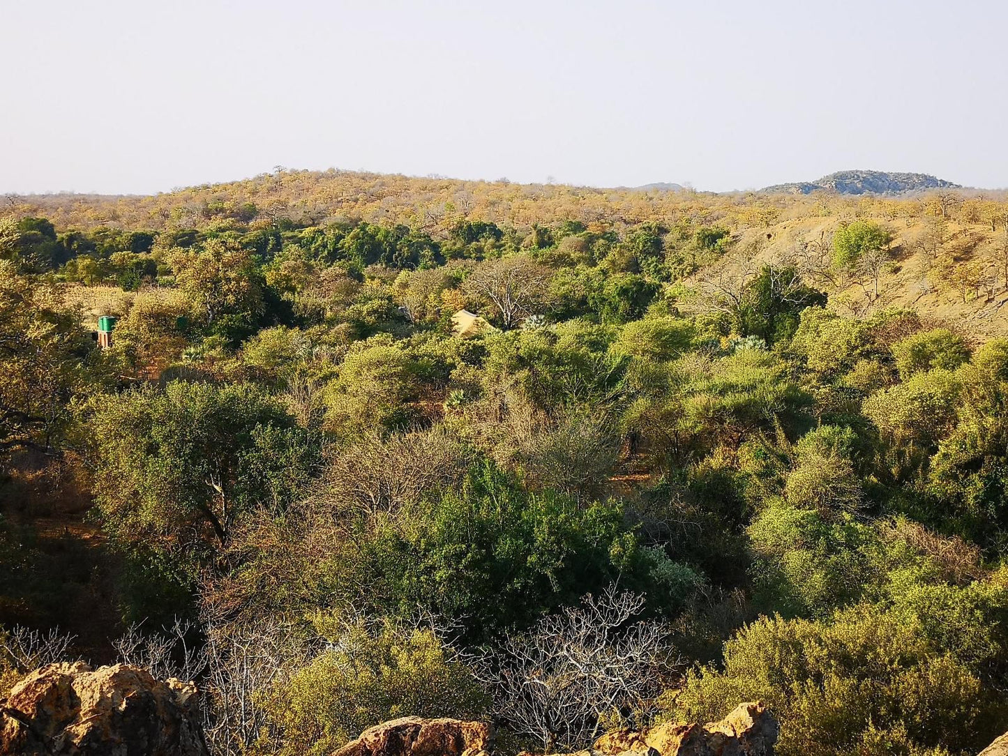 Nthakeni Bush And River Camp Makuya Nature Reserve Limpopo Province South Africa Forest, Nature, Plant, Tree, Wood