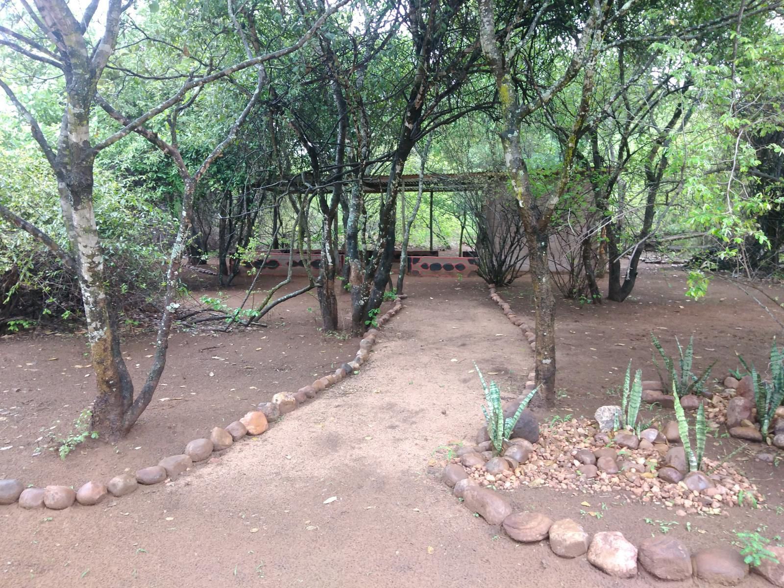 Nthakeni Bush And River Camp Makuya Nature Reserve Limpopo Province South Africa Plant, Nature, Tree, Wood, Garden
