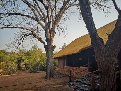 Nthakeni Bush And River Camp Makuya Nature Reserve Limpopo Province South Africa Building, Architecture