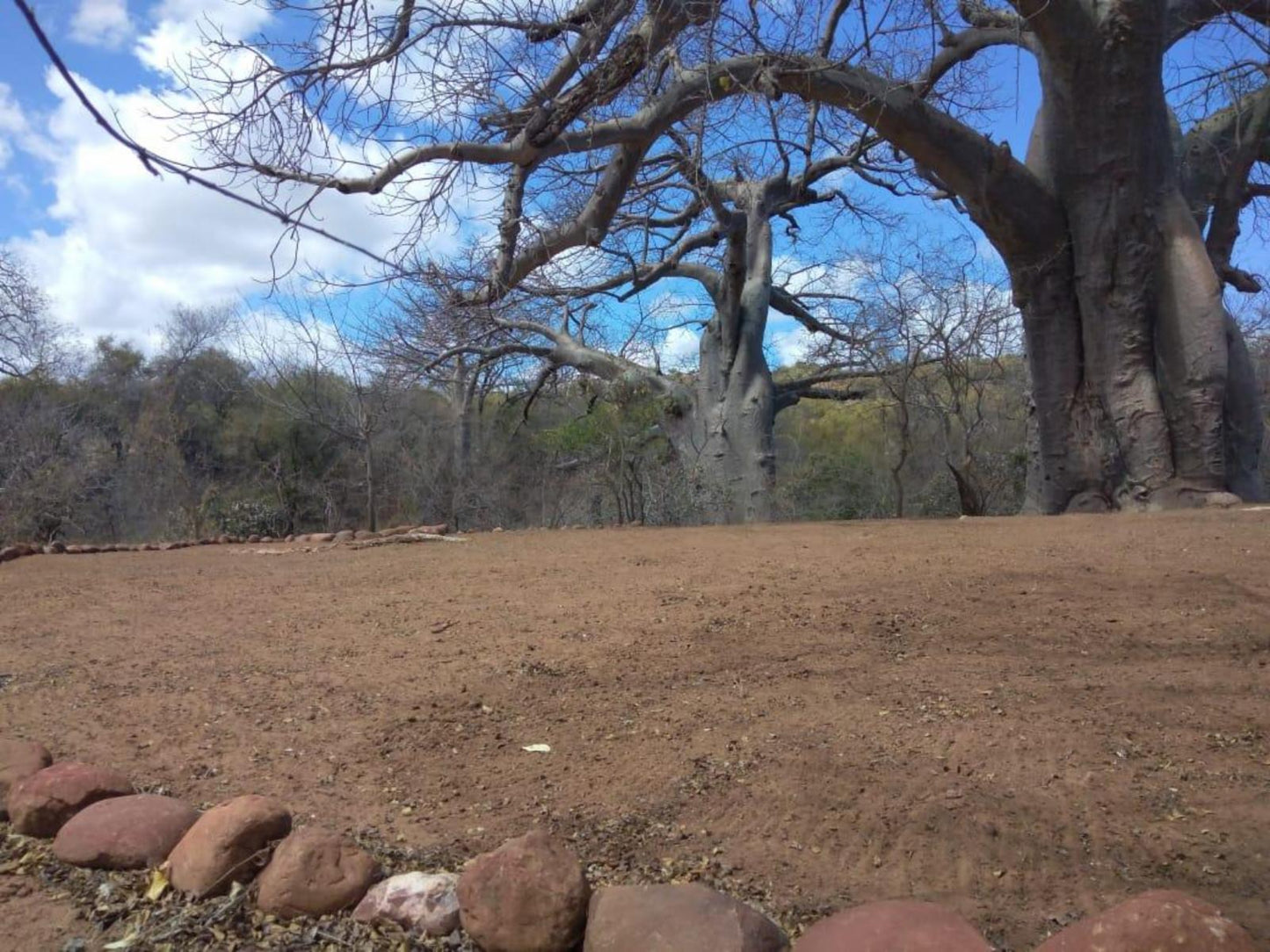 Baobab Camp Stand 8 Persons @ Nthakeni Bush & River Camp