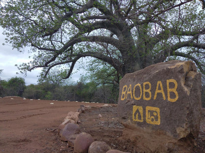 Baobab Camp Stand 8 Persons @ Nthakeni Bush & River Camp