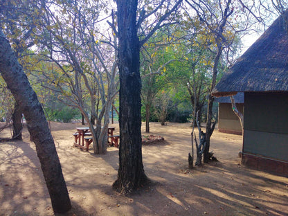 Mupane Tented Group Camp 6 Sleeper @ Nthakeni Bush & River Camp