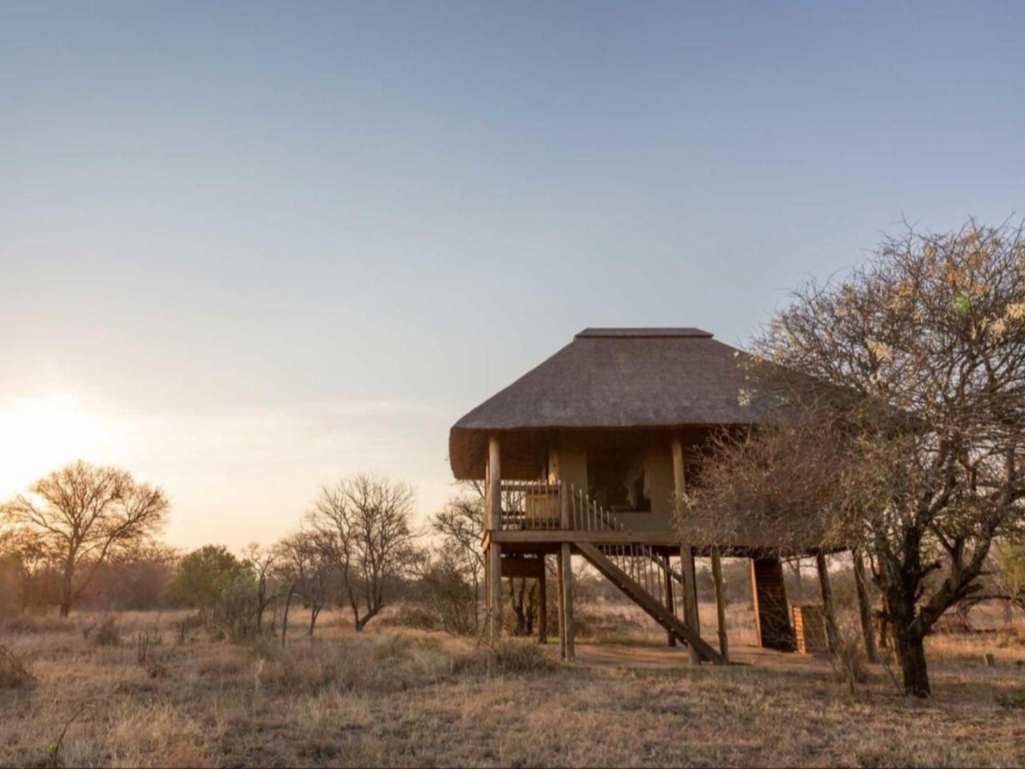 Nthambo Tree Camp