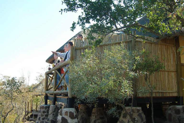 Nuanetzi Private Game Lodge Mookgopong Naboomspruit Limpopo Province South Africa Tree, Plant, Nature, Wood