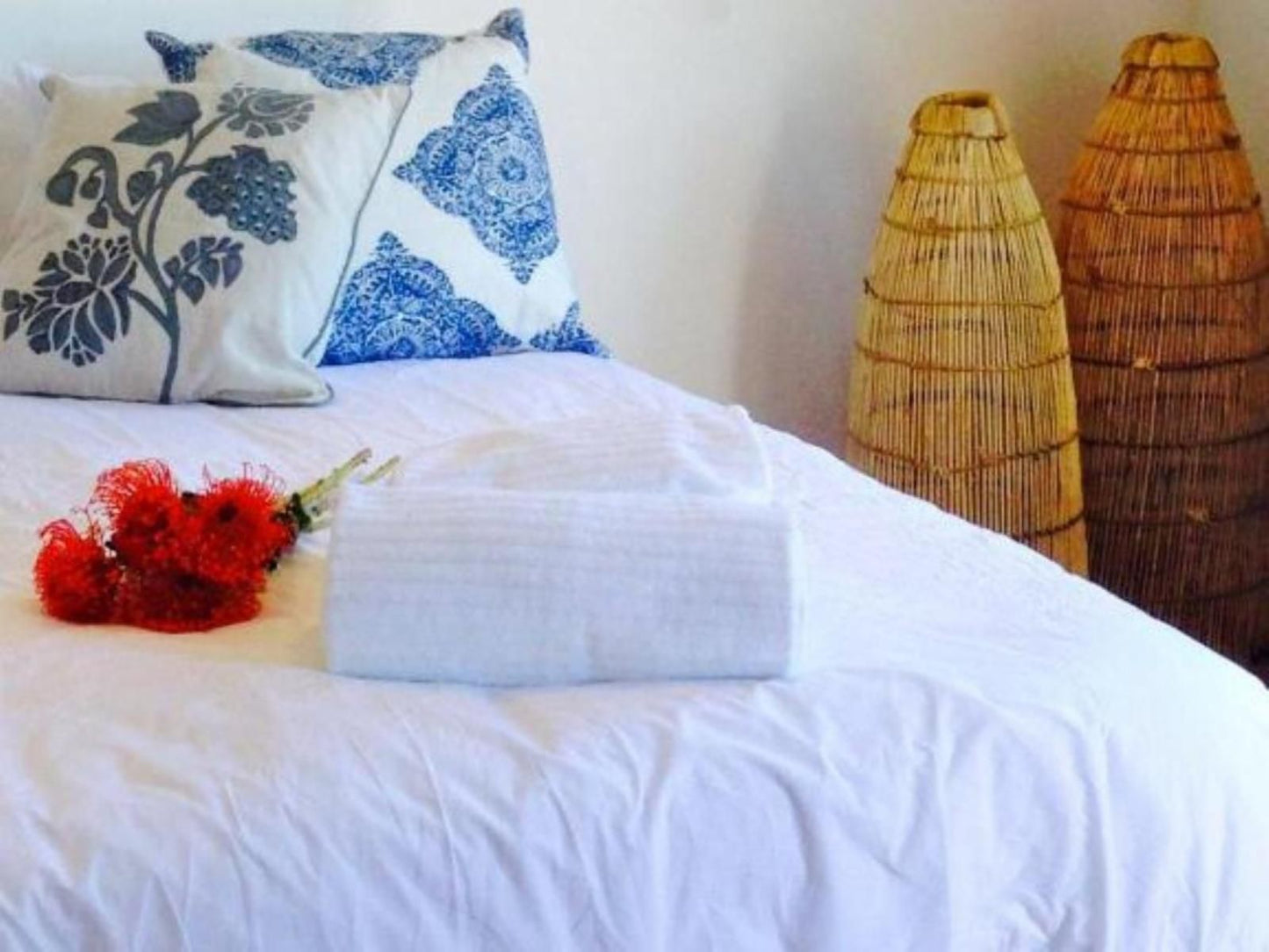 Number5 Guesthouse Gardens Cape Town Western Cape South Africa Complementary Colors, Bedroom