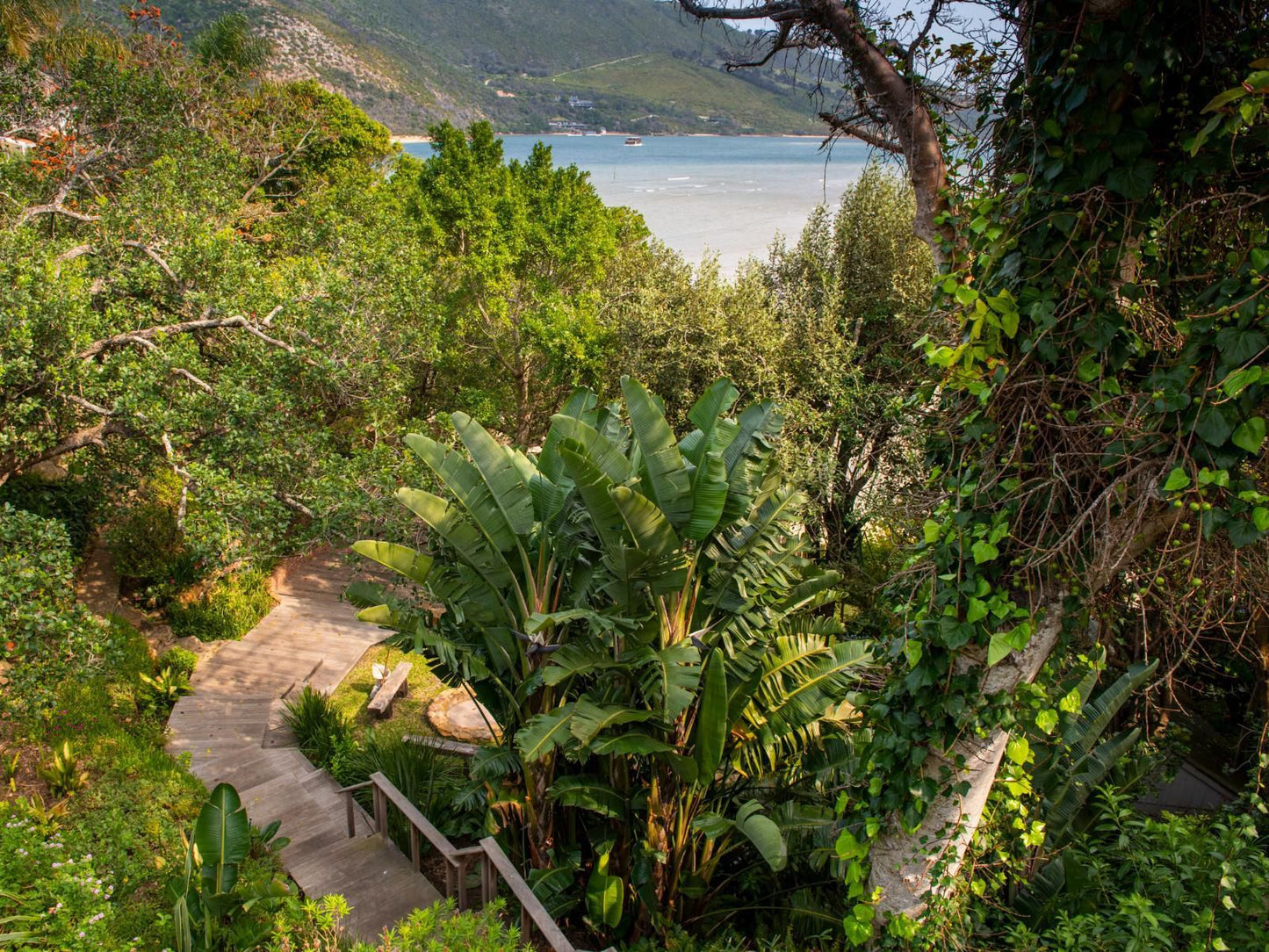 Number Eleven The Heads Knysna Western Cape South Africa Beach, Nature, Sand, Palm Tree, Plant, Wood, Garden